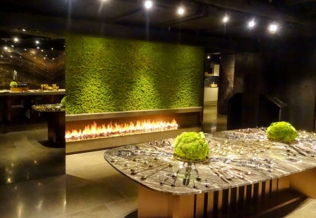 Встраиваемый очаг 2000 SappFire по цене 64 400 руб.